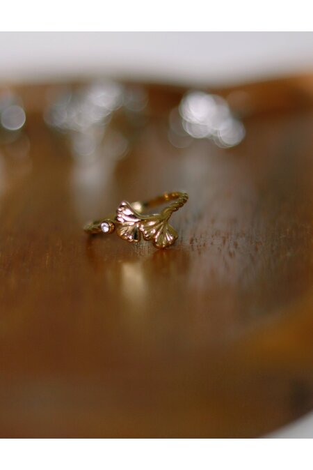 Ring GINKO