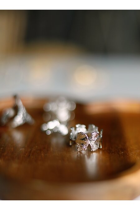 Ring GINKO 