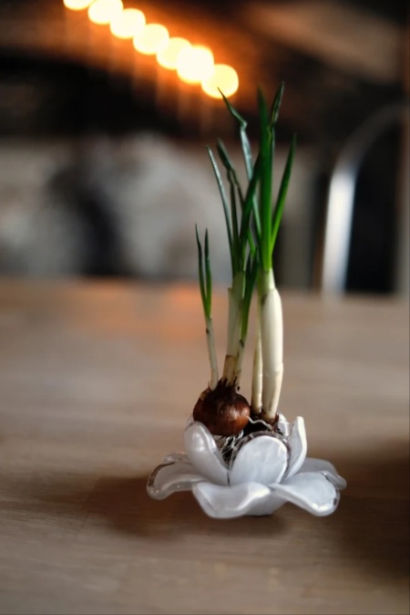 Blomma glas