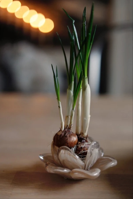 Blomma glas