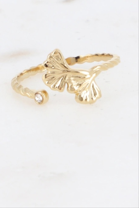 Ring GINKO