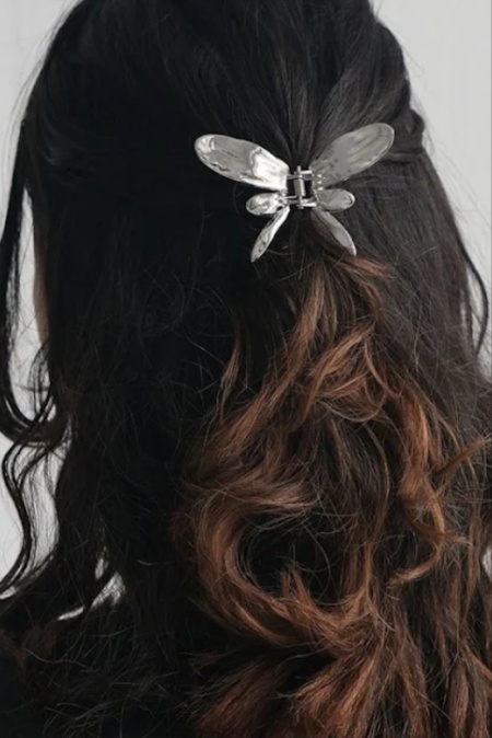 Hrclips/hrsmycke silver