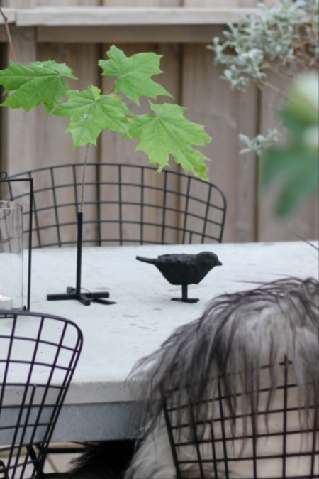 Kvisth�llare TWIGLY