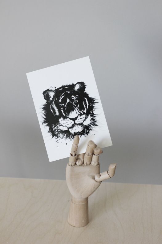 Vykort "Tiger"