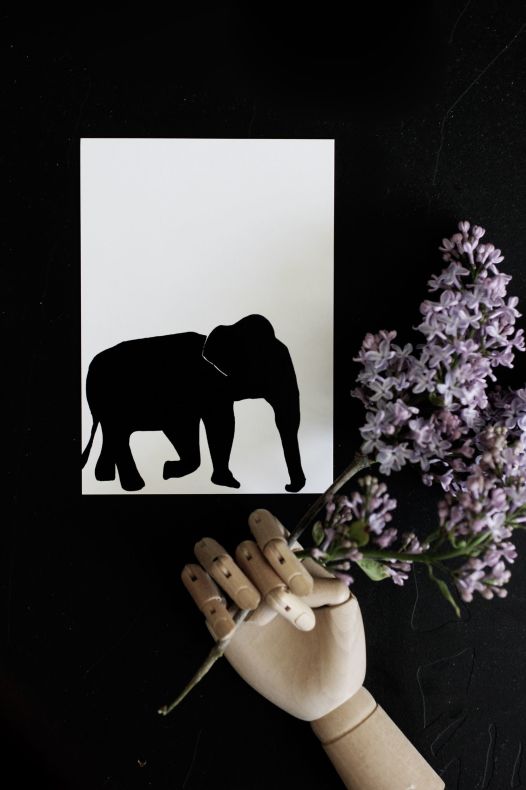 Vykort "Elefant"